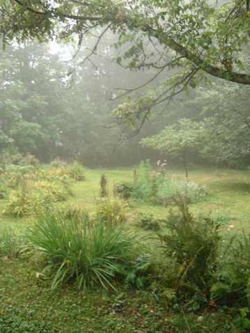 A garden