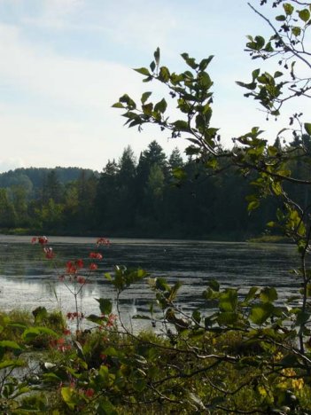 View of a river