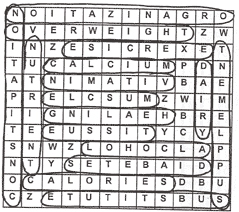 Answer Sheet - Lesson 3