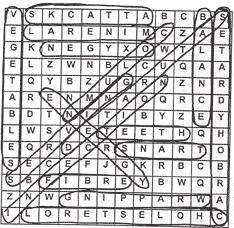 Answer Sheet - Lesson 4