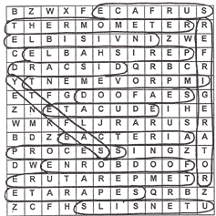 Answer Sheet - Lesson 5