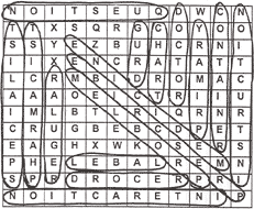 Answer Sheet - Lesson 7