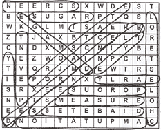 Answer Sheet - Lesson 8