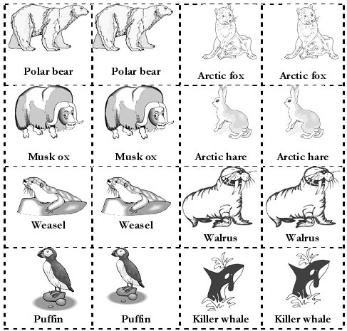 Books in the Home Program - Polar Babies