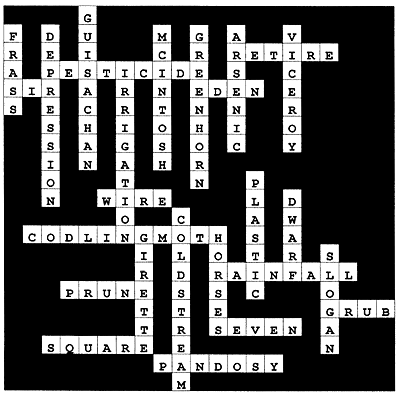 crossword puzzle