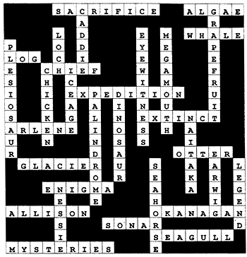 crossword puzzle