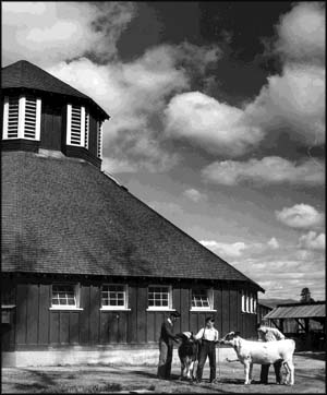 Fintry High Farm
