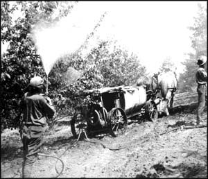 Spraying in an early orchard