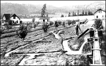 Irrigation system
