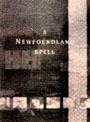 Book cover of A Newfoundland Spell