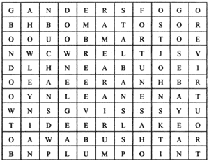 Crossword