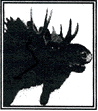 Moose