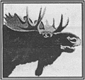 left moose image