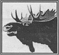 right moose image